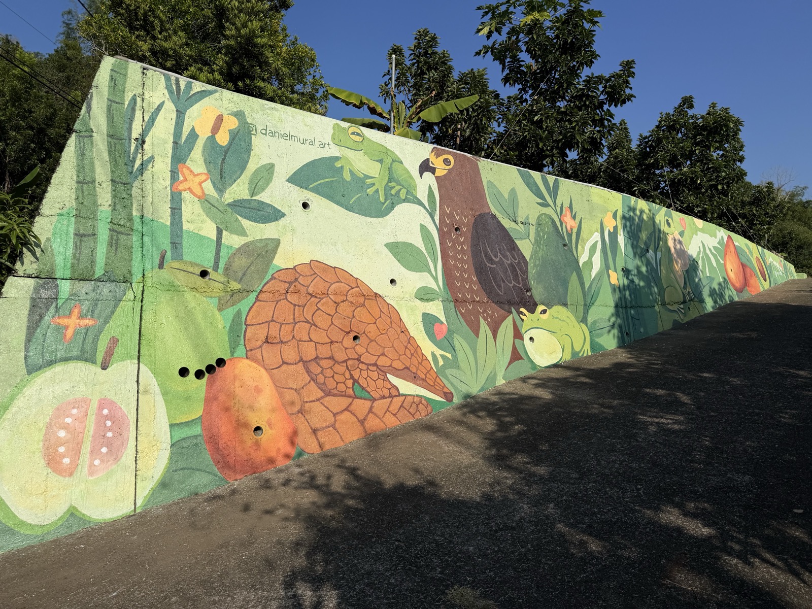 Image 3 — Orchard wall mural ~559 sq ft