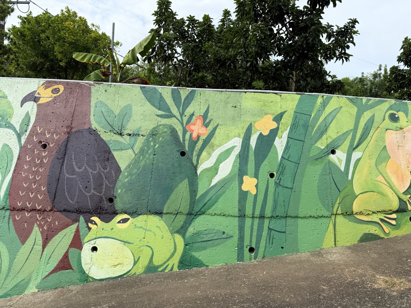 Image 5 — Orchard wall mural ~559 sq ft