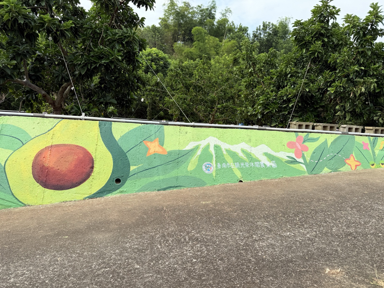 Image 6 — Orchard wall mural ~559 sq ft