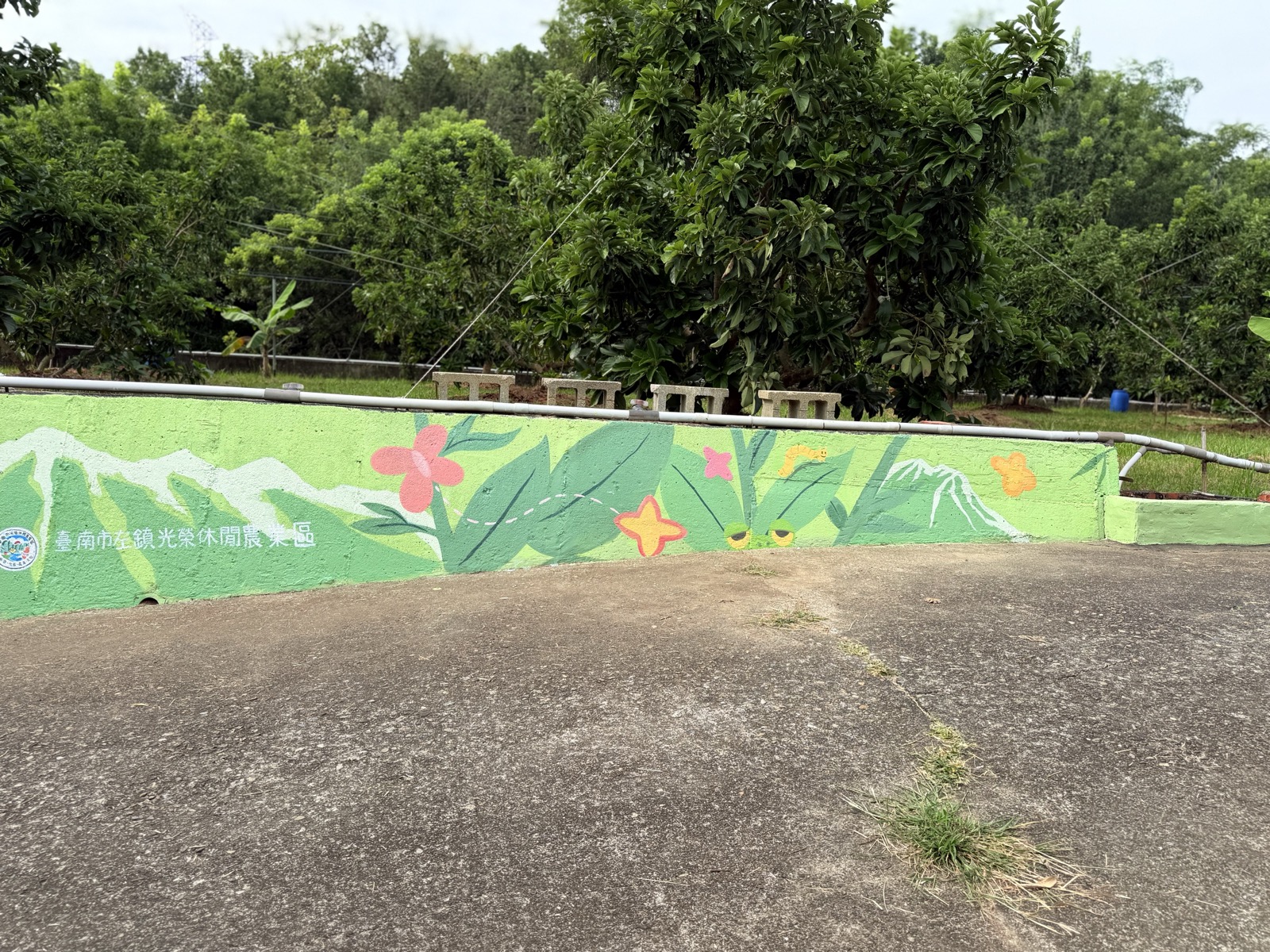 Image 7 — Orchard wall mural ~559 sq ft